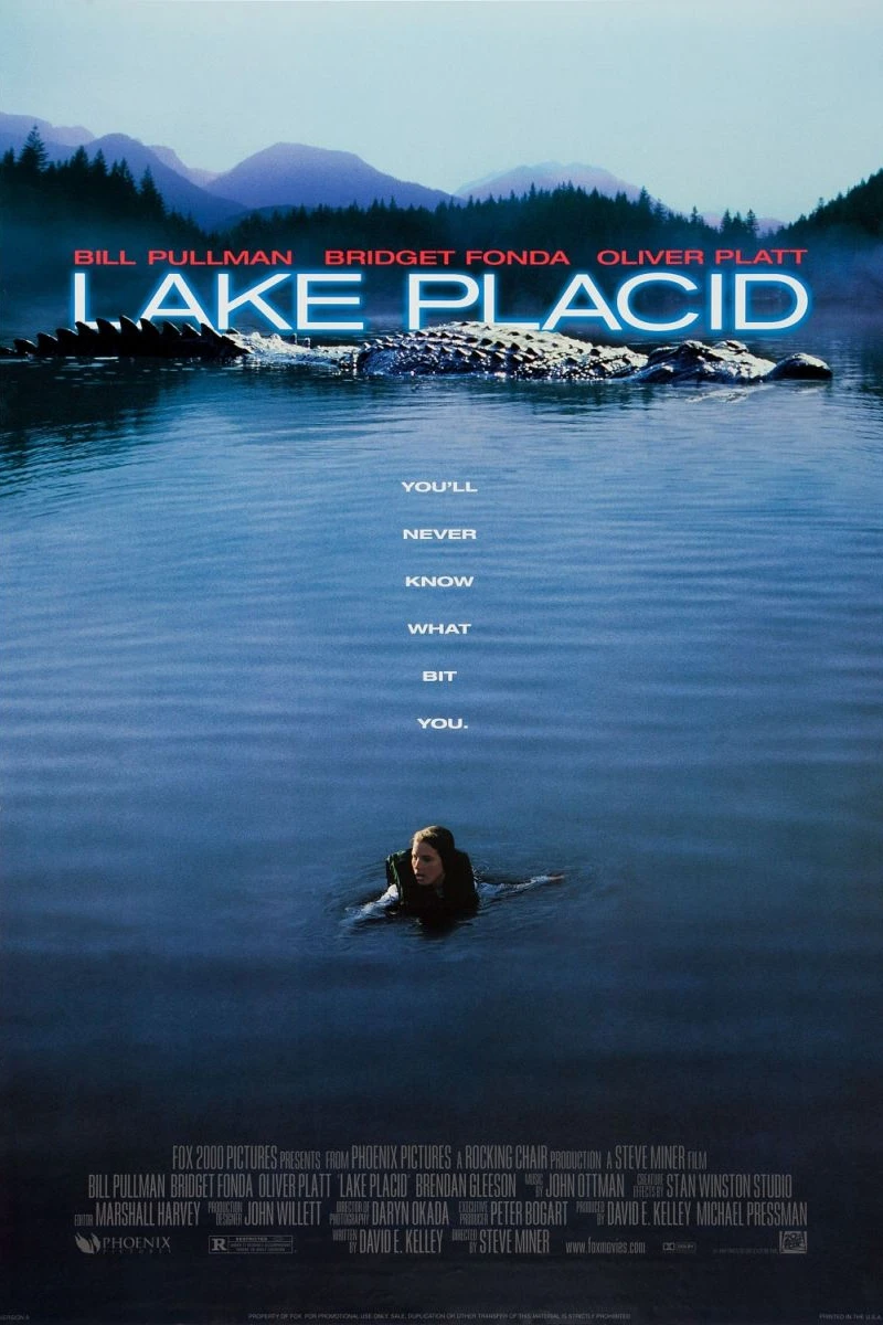 Lake Placid Plakat