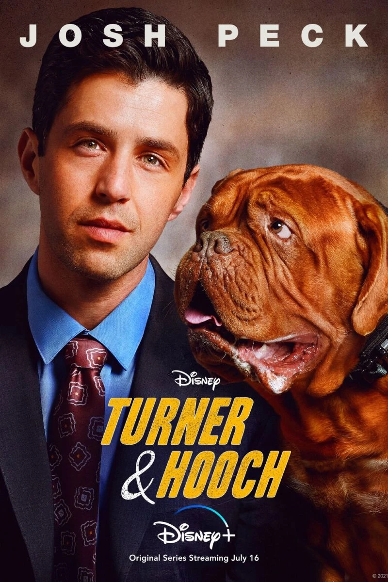 Turner Hooch Plakat