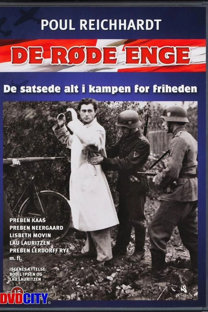 De Roede Enge Plakat