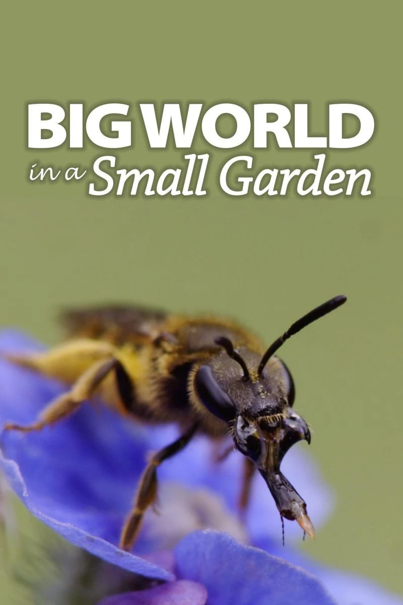 Big World in a Small Garden Plakat