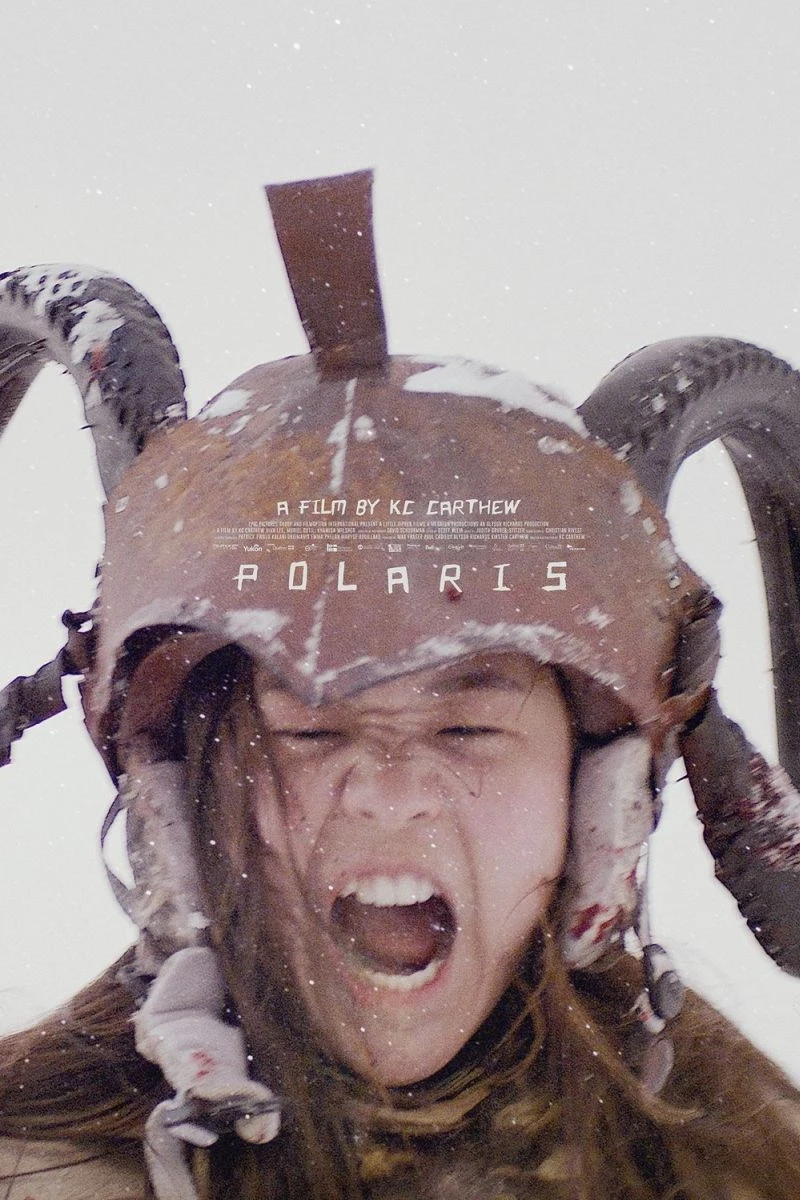 Polaris Plakat