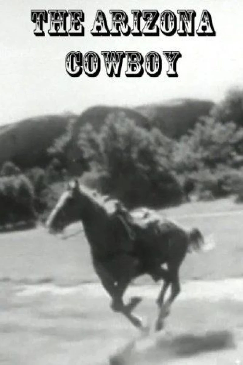 The Arizona Cowboy Plakat