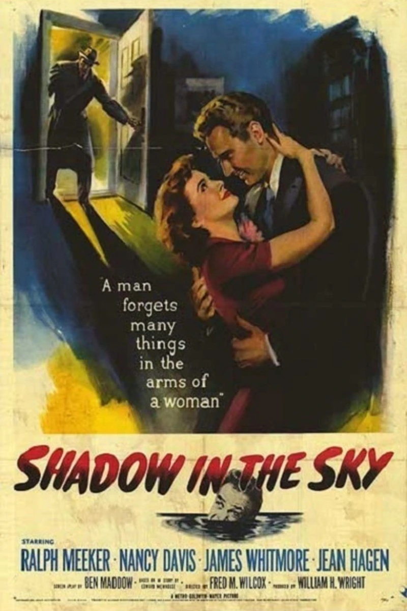 Shadow in the Sky Plakat