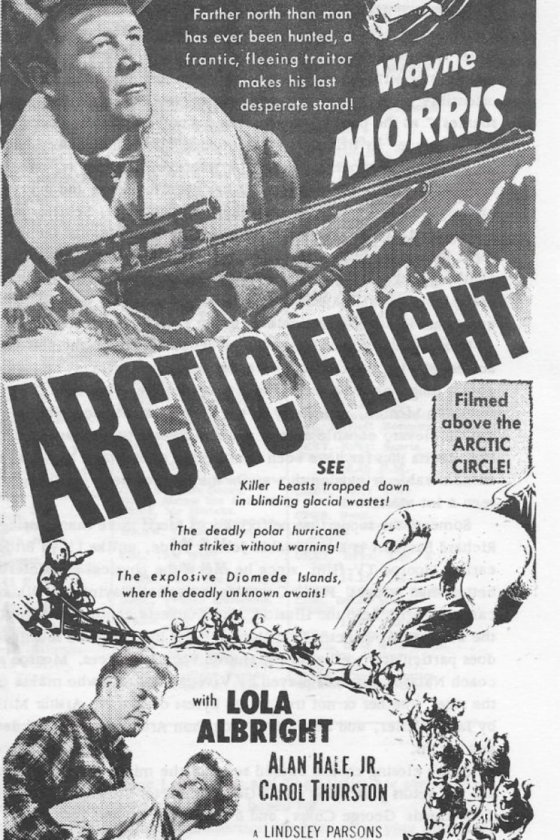 Arctic Flight Plakat