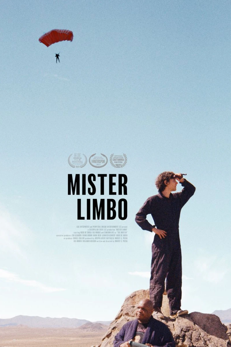 Mister Limbo Plakat