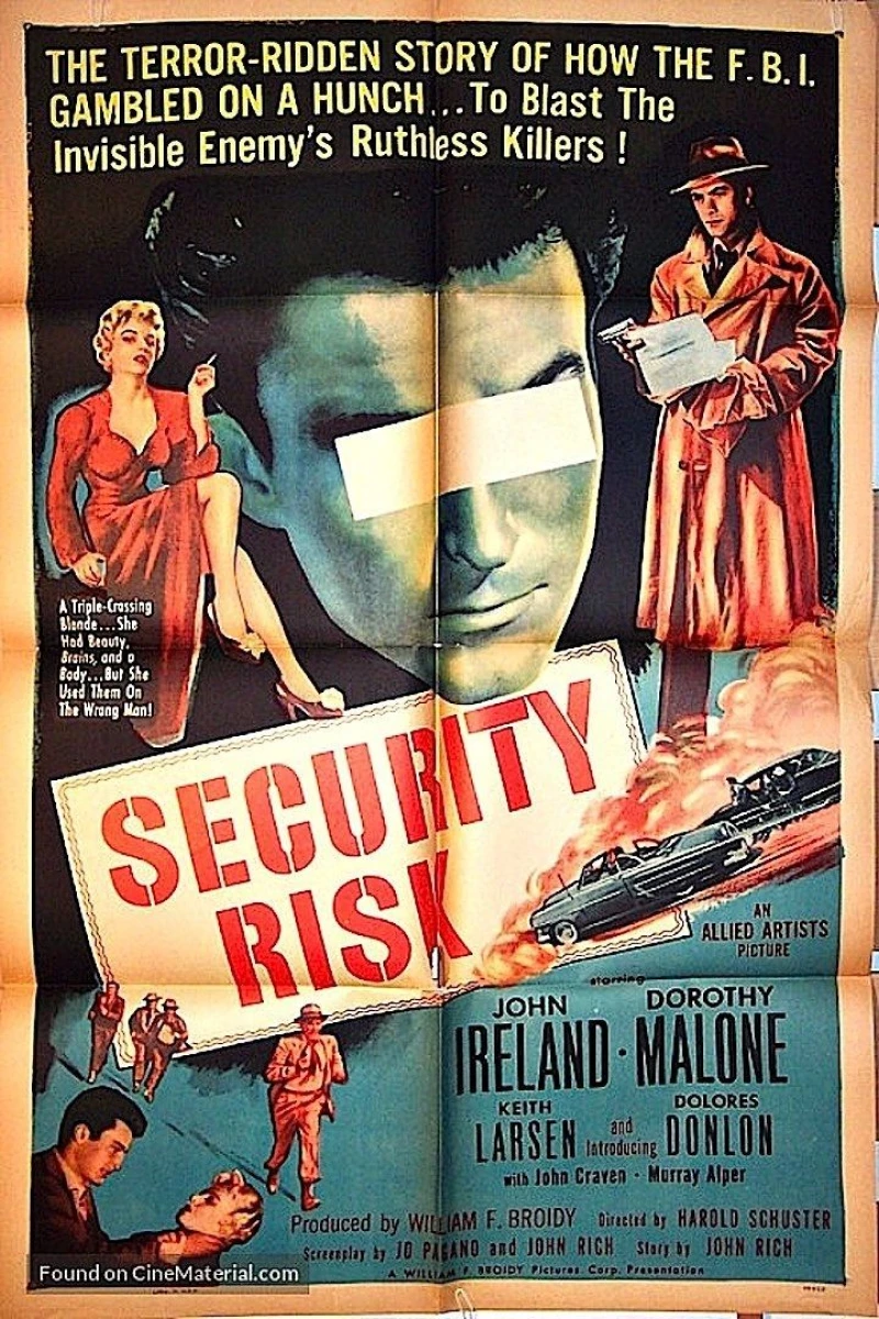 Security Risk Plakat