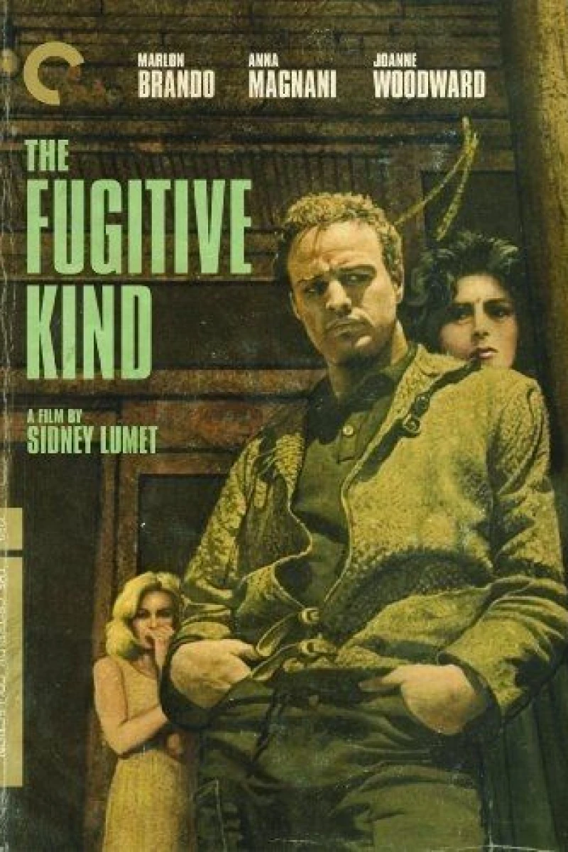 The Fugitive Kind Plakat