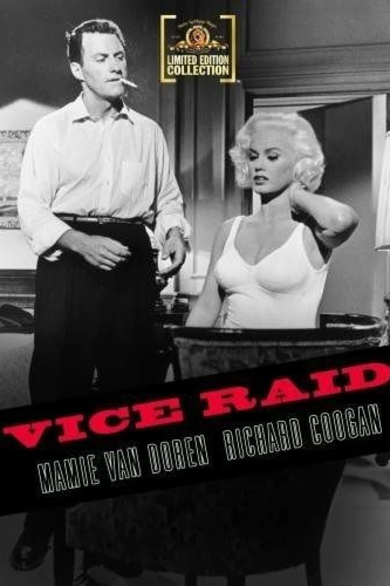 Vice Raid Plakat