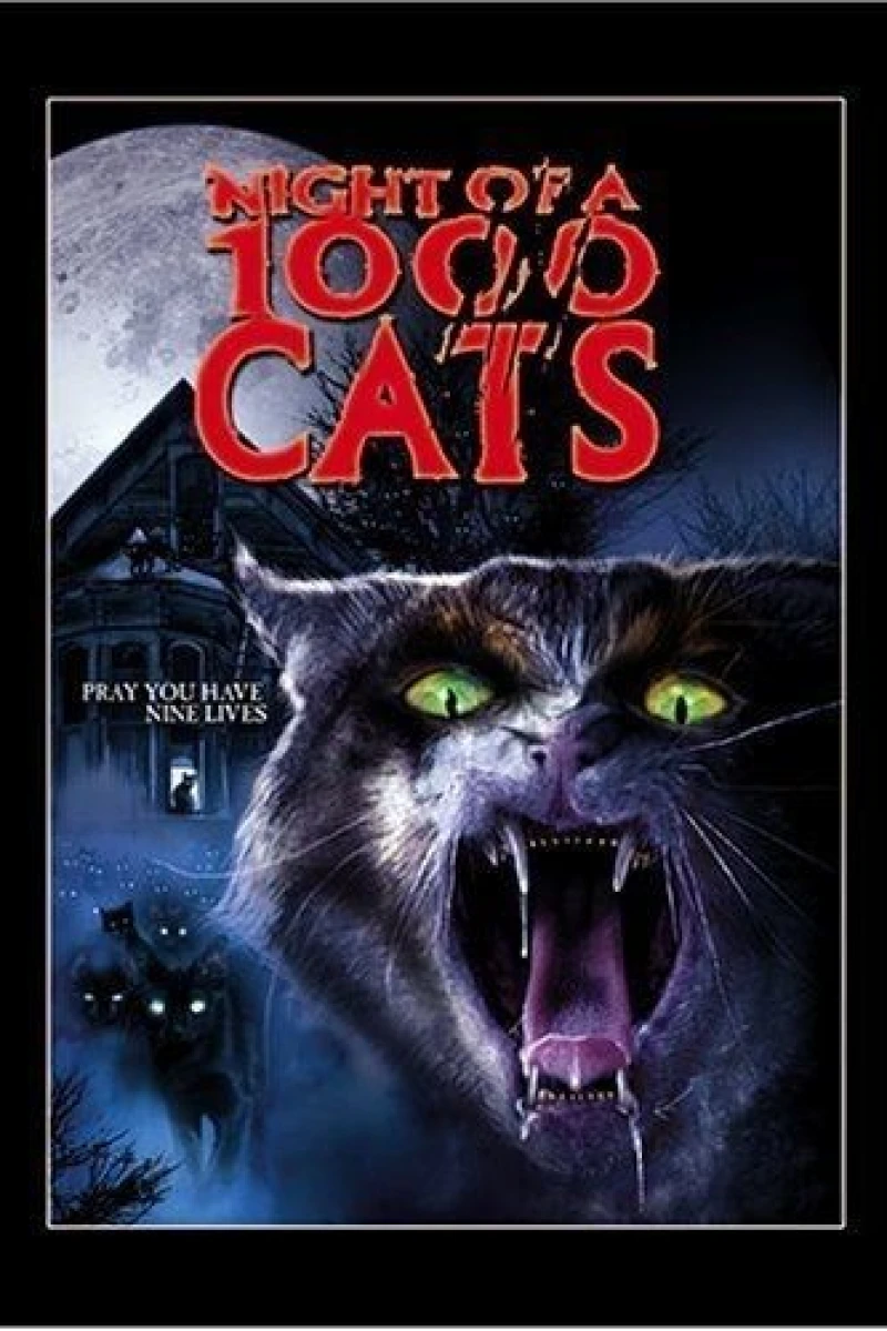 The Night of a Thousand Cats Plakat