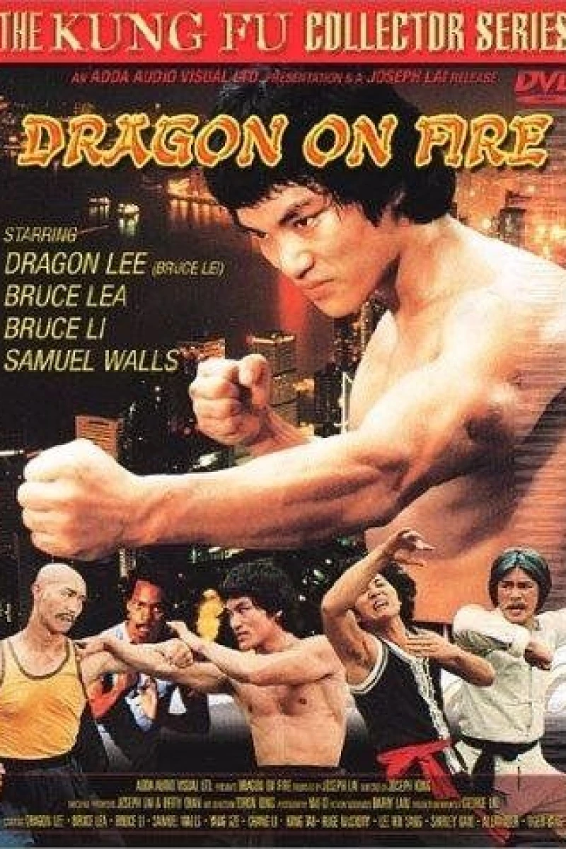 Dragon on Fire Plakat