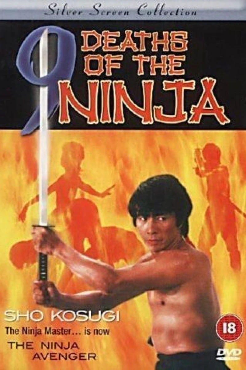 Ninja-fighteren Plakat