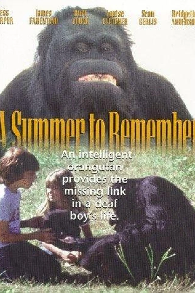 A Summer to Remember Plakat