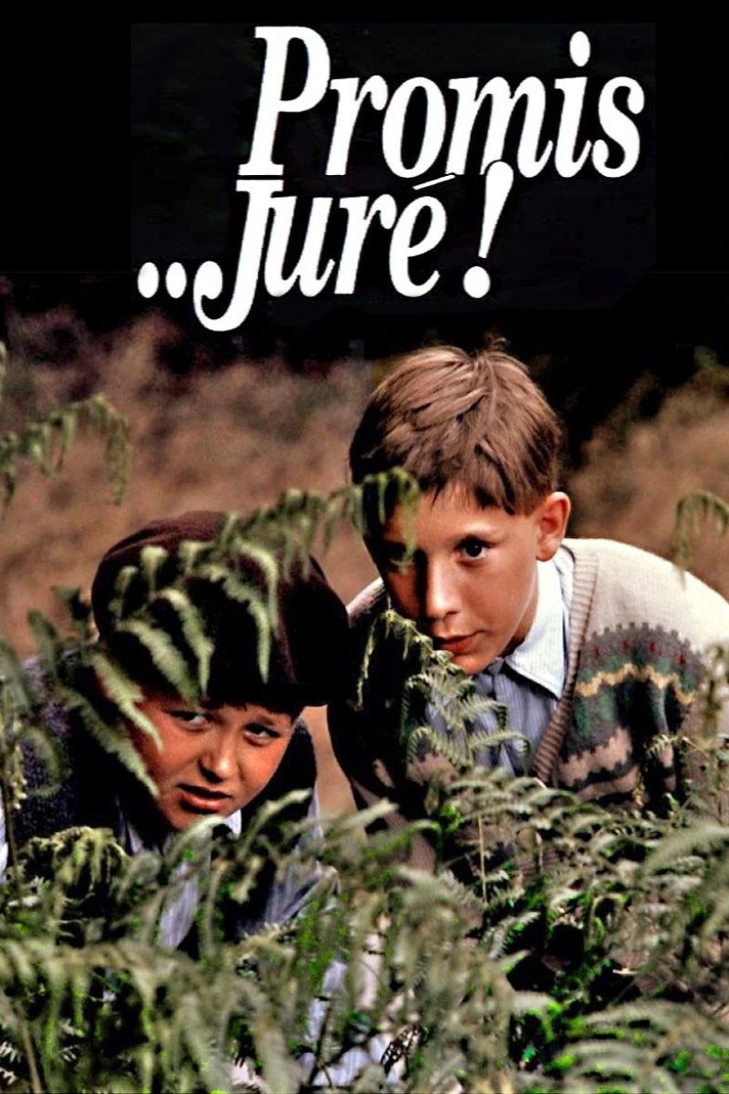 Promis... juré! Plakat