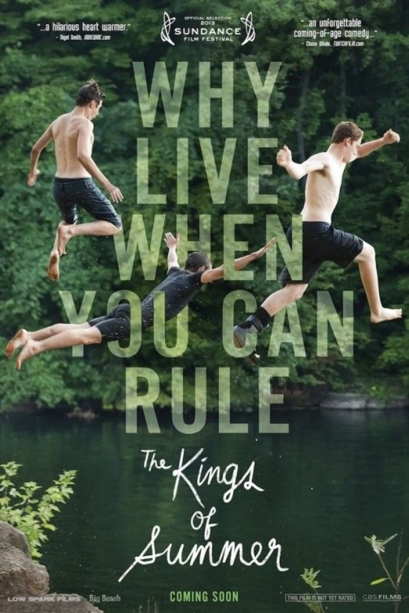 The Kings of Summer Plakat