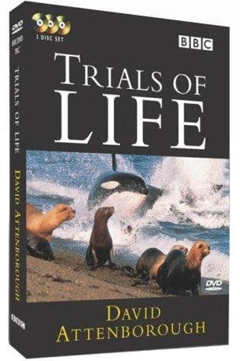 The Trials of Life Plakat