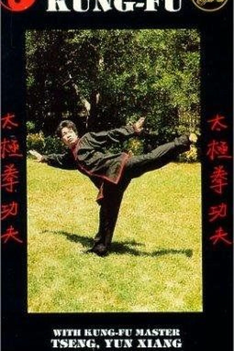 Shaolin Long Arm Plakat