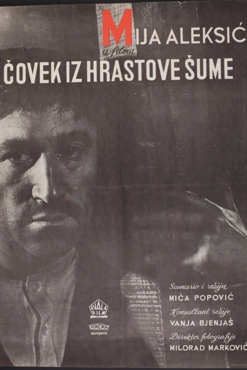 Covek iz hrastove sume Plakat