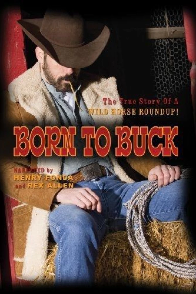 Born to Buck Plakat