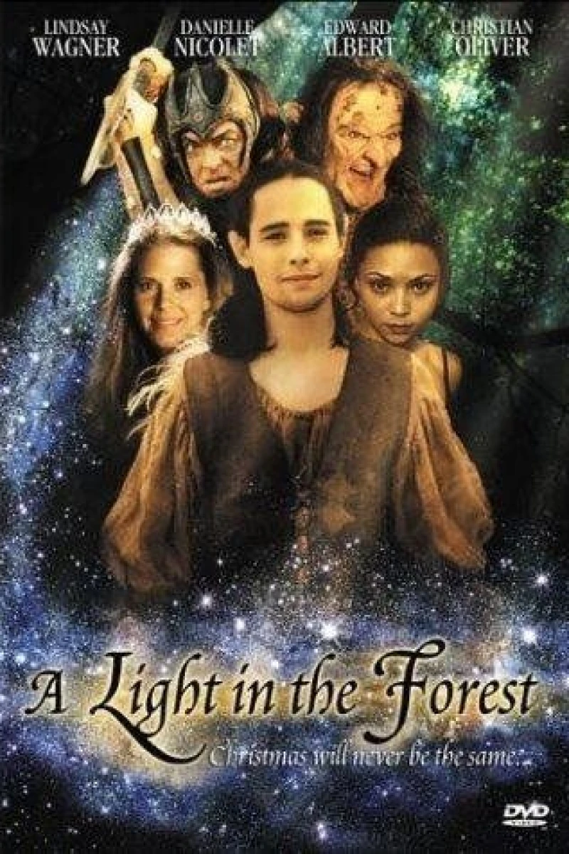 A Light in the Forest Plakat