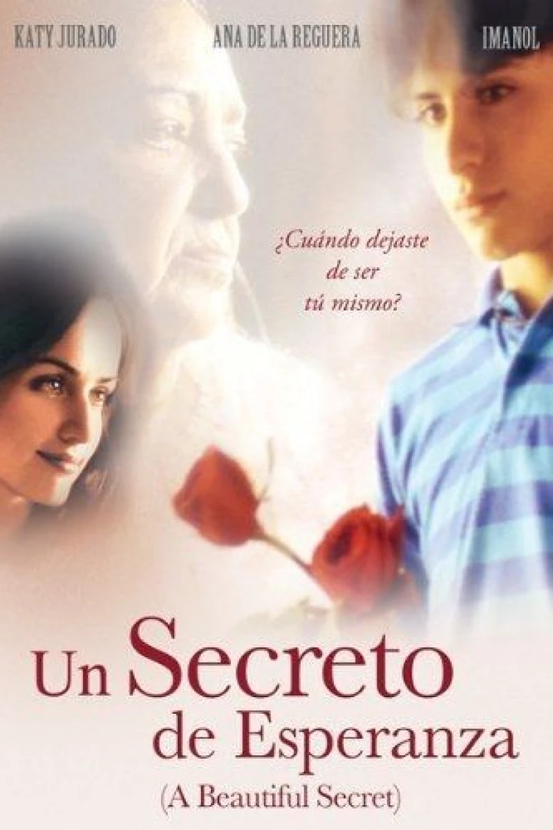 A Beautiful Secret Plakat