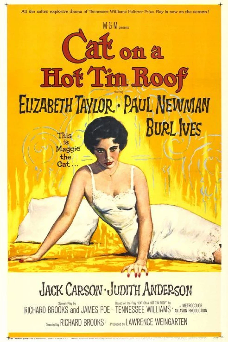 Cat On a Hot Tin Roof Plakat