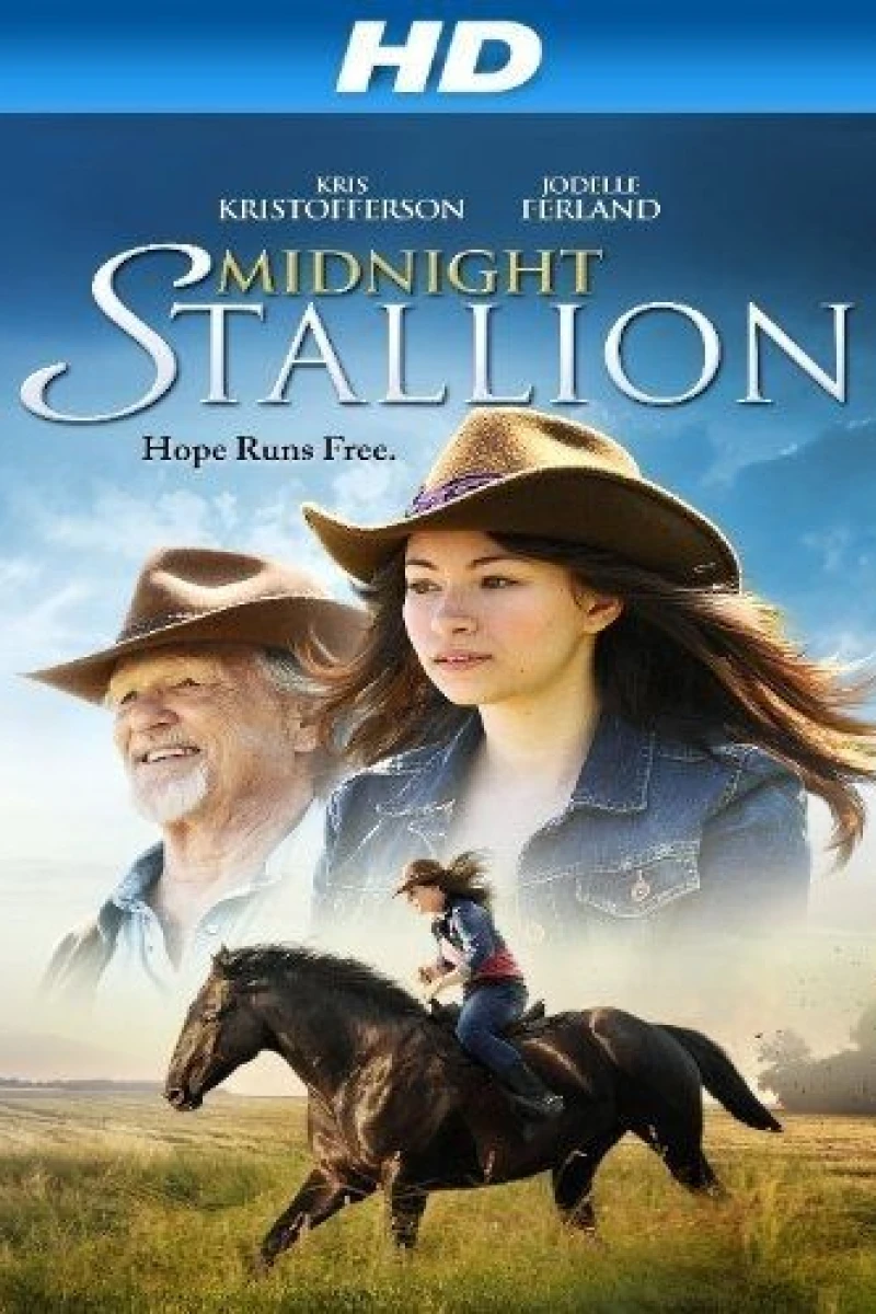 Midnight Stallion Plakat