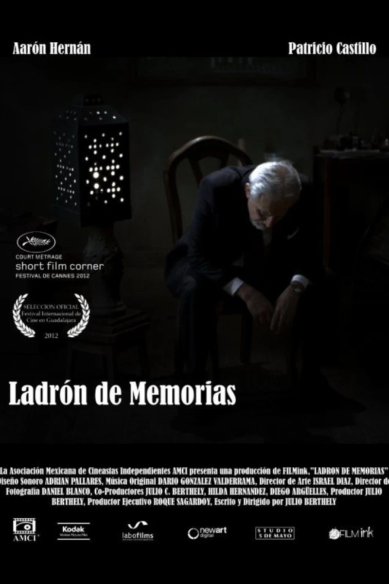 Ladrón de memorias Plakat