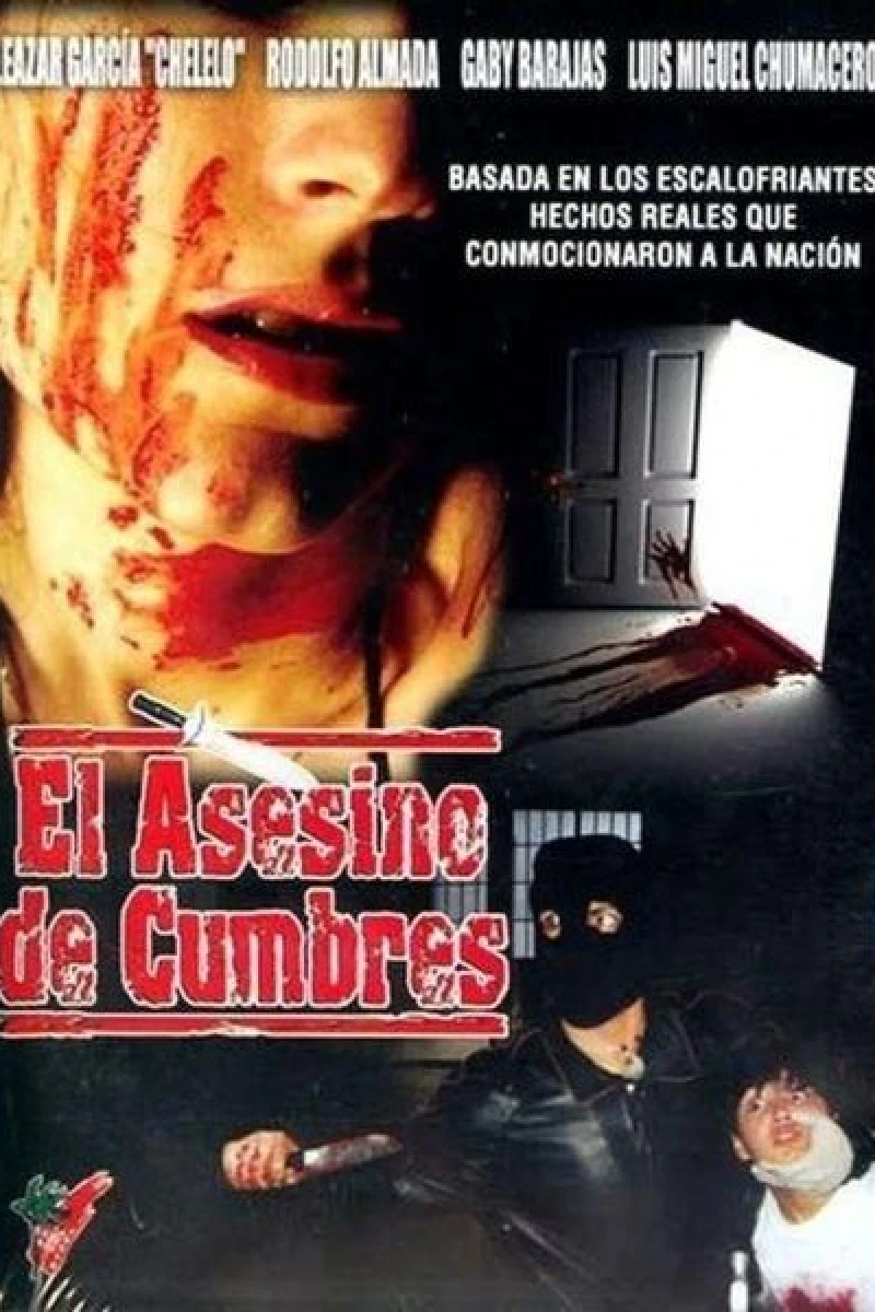 El asesino de cumbres Plakat