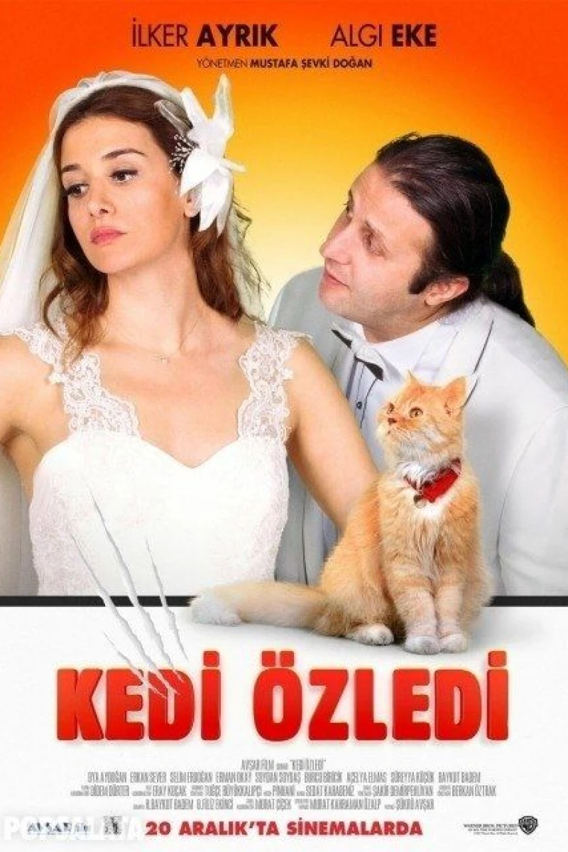 Kedi Özledi Plakat